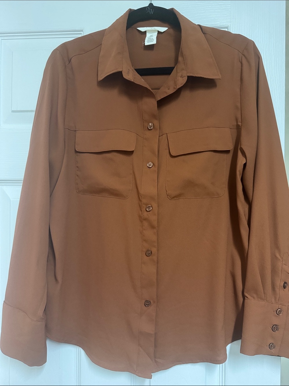 Classic Button-Down Shirt in Brown